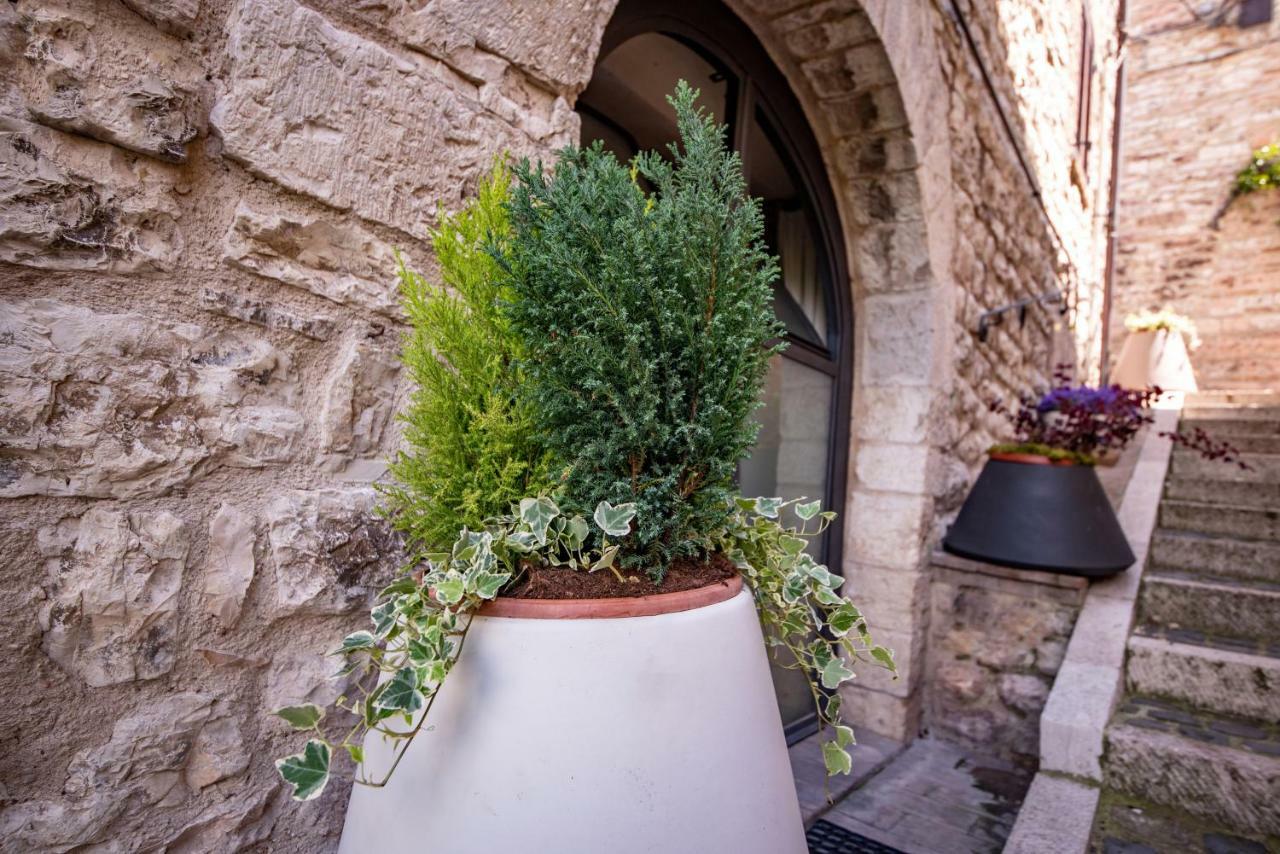 Perfetta Letizia Casa Vacanza Assisi Ngoại thất bức ảnh